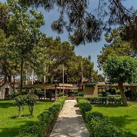 Aska Costa Club Side